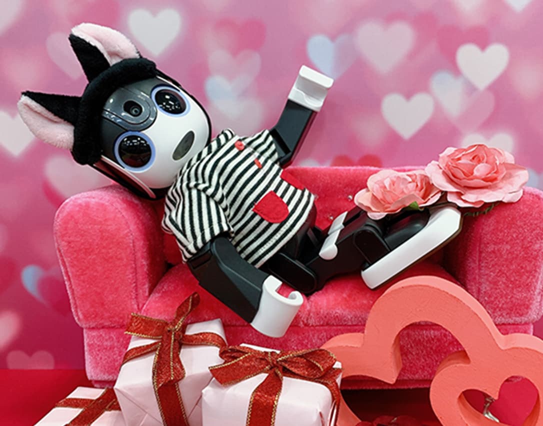 株式会社アニメイト様とのコラボイベント