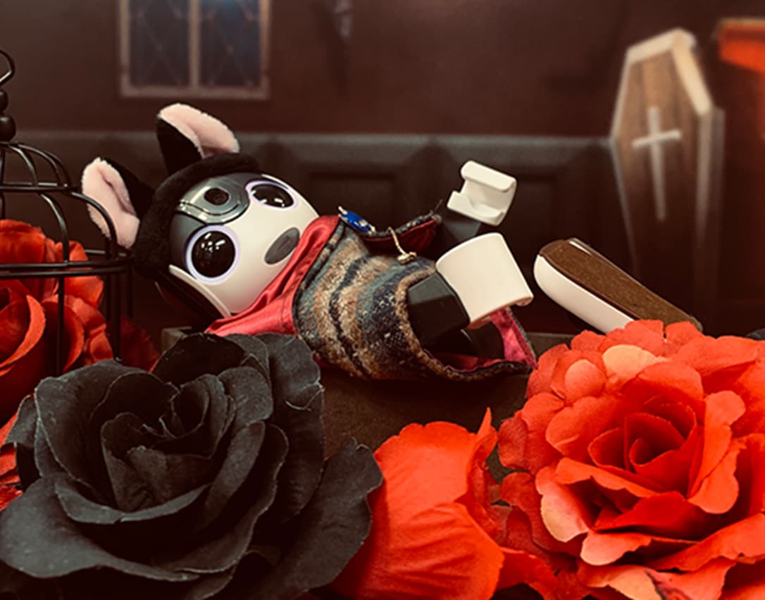 株式会社アニメイト様とのコラボイベント